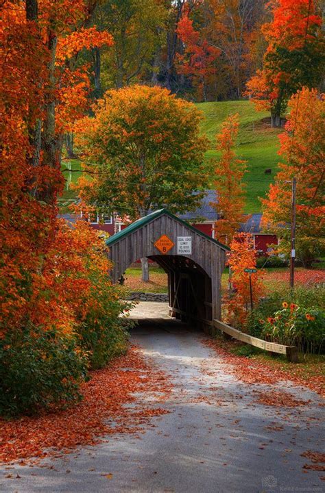 Peak Foliage Itinerary: The Perfect Autumn Day in Waterville Valley.